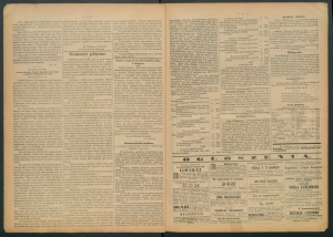 gazeta radomska-1885-18-00003